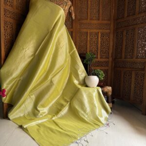 Raga tissue saree,Sun shining