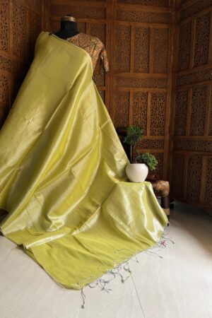 Raga tissue saree,Sun shining