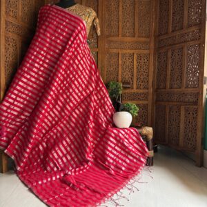 Raga tissue saree,Red with silver lining
