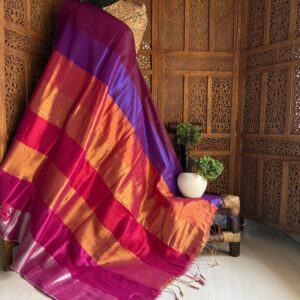 Raga tissue saree,Festive mood